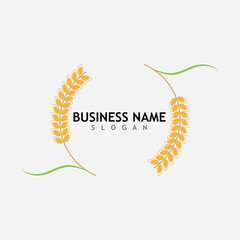 Agriculture wheat  logo vector