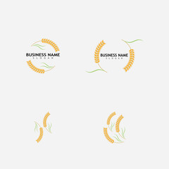 Agriculture wheat  logo vector