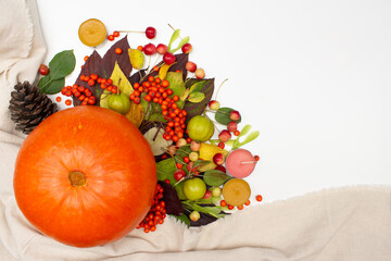 Autumn thanksgiving banner white background. Bunch of fall leaves, rowan berries, pine, wild apples. Forest plants. Rustic linen fabric. Top view, flatly, overhead. Template for banner, ads, card.