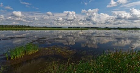 Naturschutzgebiet Peenetal