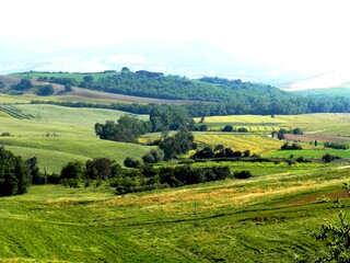 Obraz premium Italy- Tuscany the green hills of the Pienza countryside
