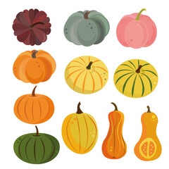 Autumn set with vector pumpkins. Colorful pumpkins of different shapes in a flat style isolated on a white background. Perfect for Halloween cards, children's books, magazines