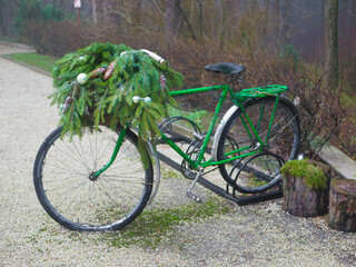 Fototapeta na wymiar bicycle with fir needles and cones