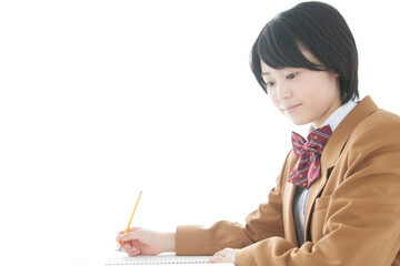 寝転びながら勉強する女の子 Wall Mural Wallpaper Murals Paylessimages