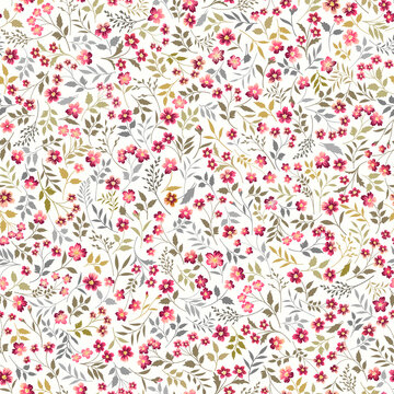a seamless floral pattern with red meadow flowers