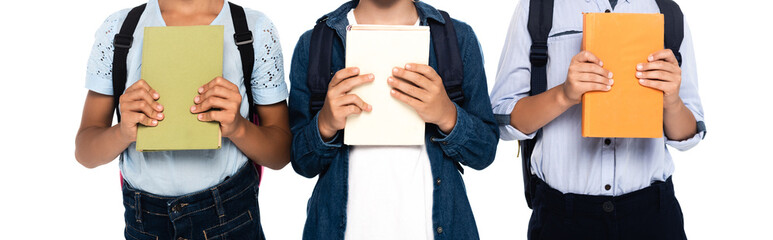 panoramic crop of schoolboys and schoolgirl holding books isolated on white