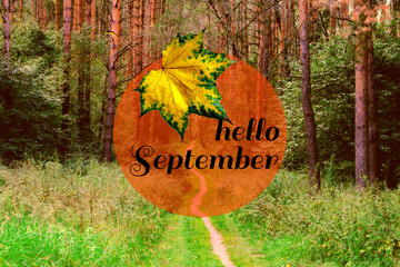 Hello September phrase & yellow maple leaf on autumn forest background. Goodbye summer welcome autumn (fall) September hello on pathway or trail road in forest. September forest way, hello fall season © Real Moment