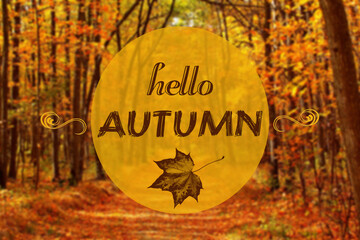 Hello Autumn phrase & maple leaf on fall forest background. Goodbye summer welcome autumn (fall hello) on pathway or footpath road in forest. October forest trail way hello autumn - golden fall season © Real Moment