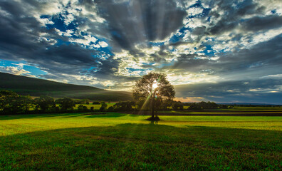 beautiful sun rise rays over the landscape 