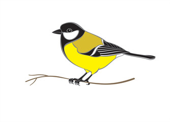 Titmouse sitting on branch Isolated on white background. Vector illustration.