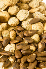 Fototapeta premium Almendras.Mallorca. Baleares.España.