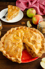 Classic American apple pie with cinnamon on a dark wooden background. Rustic style. Copy space.