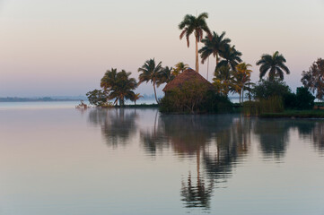 Fototapeta na wymiar Laguna del Tesoro, Treasure Lagoon, Palm trees and wooden cabins, Zapata Peninsula, Cuba, Central America