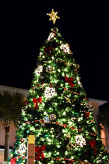 Christmas Tree in Celebration Village