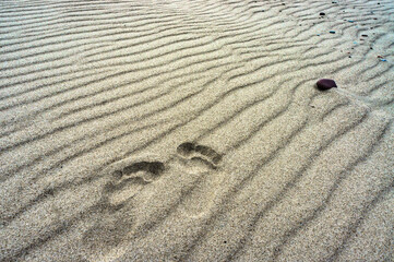 Fototapeta na wymiar Sea sand. Sandy background. Sandy texture. Natural sea sand and river sand.