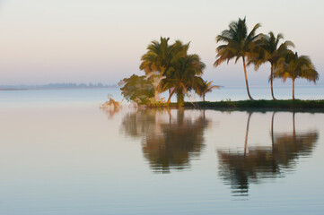 Fototapeta na wymiar Laguna del Tesoro, Treasure Lagoon at sunrise, Zapata Peninsula, Cuba, Central America