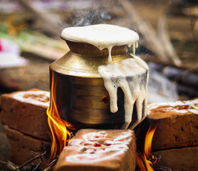 Pongal festival,Tamil Nadu festival Pongal Sankranti Diwali spicy pongal prepared with rice lentil semolina rava South India Sri Lanka