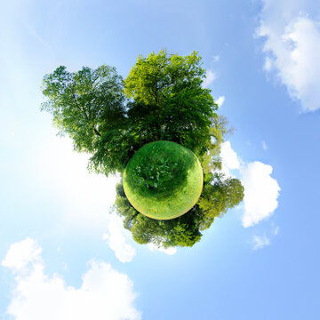 Green meadow planet - Little planet - spherical panorama