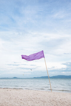Purple Flag on the Beach