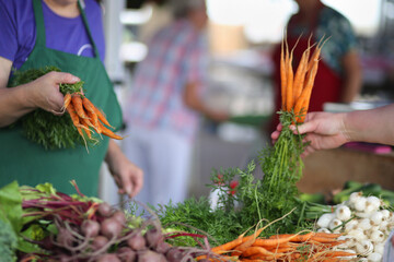 Women Compare Bunches Of Carrots For Sale At A Farmer's Market