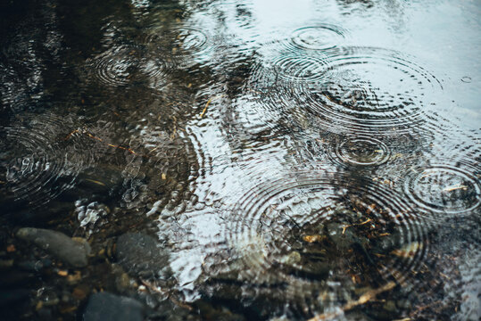 Raindrops in a river.