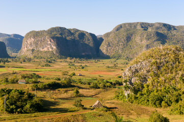 Vinales Valley, Tobacco plantation, Mogotes, Vinales, Pinar del Rio Province, Cuba, Central...