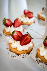 Wedding sweets, decorated tables, decorations and cupcakes, delicious meat and delicacies