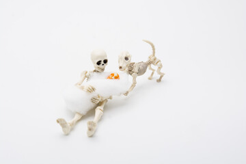 Skeleton mother with her children and a skeleton dog