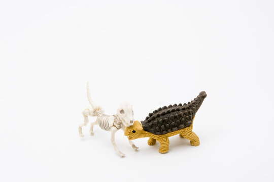 Skeleton dog and Ankylosaurus