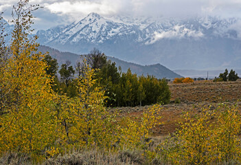 Snow capped mountains in the Grand Tetons.