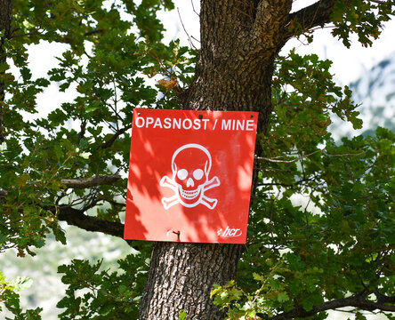 Land mine sign photographed on the tree.