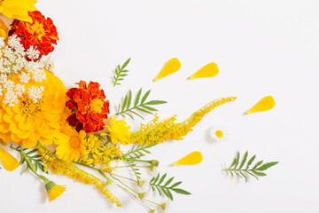 Fototapeta na wymiar yellow and orange flowers on white background