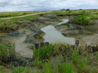 les chemins de la Seudre à vélo