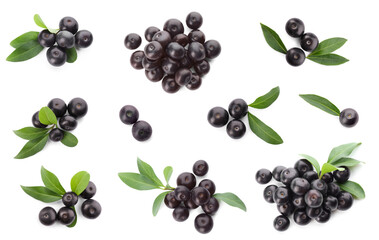 Set of fresh acai berries with green leaves on white background, top view