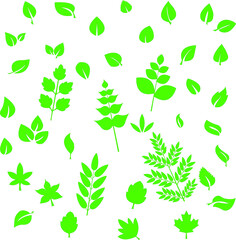 eco icons green leaves, vector set