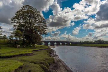 A view along the river Loughor at Pontarddulais towards the viaduct at Hendy, Wales in the summertime