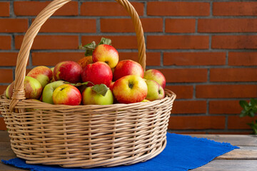 basket of ripe apples harvested in the garden