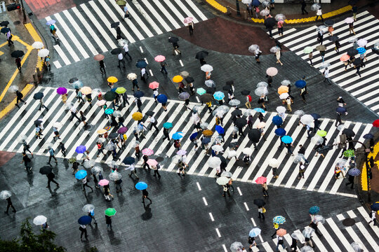 People with umbrellas at Shibuya Scramble Intersection in rain