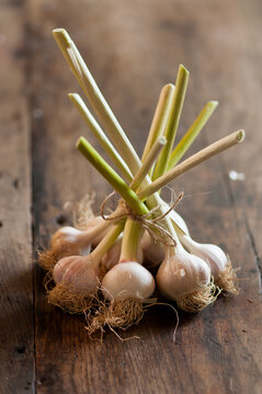 heads of garlic tied with a string