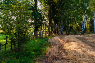 Krajobraz wiejski, lato na Podlasiu, Polska