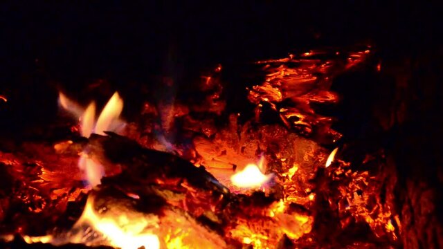 embers burn out in a fire of fir wood