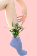 Woman's unshaven leg in blue socks on a pink background. Pink flowers is in the socks.