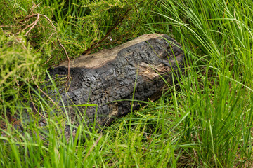 Illegale Feuerstelle an einem See im Naturschutzgebiet