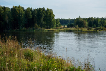 The view of a pond in the countryside in summer with trees and grass.