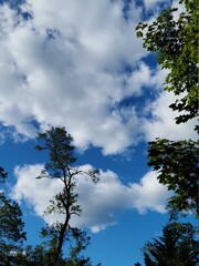 Cloudscape, landscape, blue sky 