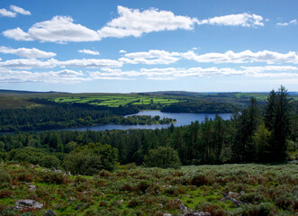 Dartmoor