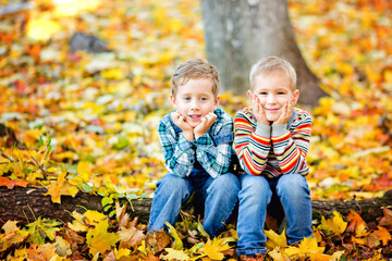 Two little boy brothers sit on a log in an autumn Park among yellow leaves.