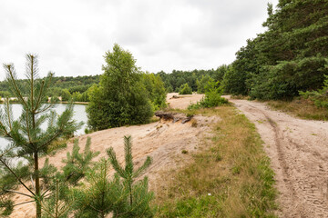 See im Sandabbaugebiet mit Kiefern am Ufer