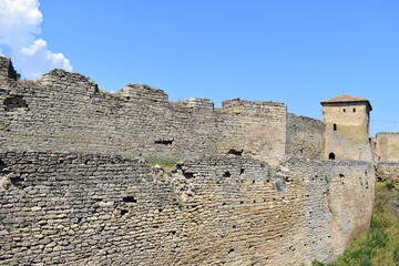 ruins of old castle