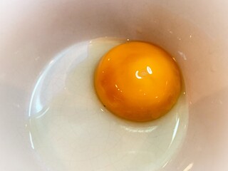 fried egg in a pan